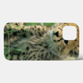 ふわふわのチーターの子 Case-Mate iPhoneケース (裏面 (横))