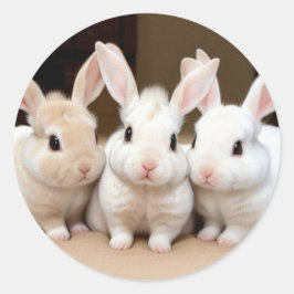 ふわふわのバンニーの甘いトリオ ラウンドシール
