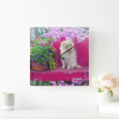 ふわふわのポメラニア犬パピオンガーデン素朴ベンチ スクエア壁時計 (ホーム)