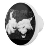 ふわふわの下 セラミックノブ (右)
