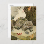 ふわふわの二匹の猫が休むアウトドア 案内ポストカード (正面/裏面)