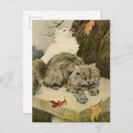 ふわふわの二匹の猫が休むアウトドア 案内ポストカード (正面/裏面)