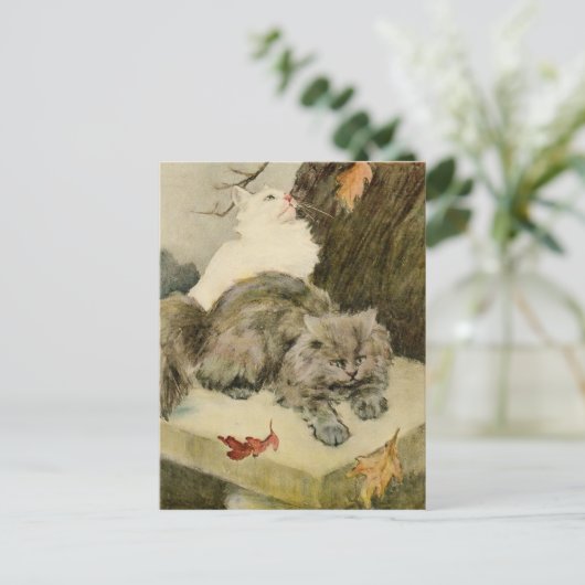 ふわふわの二匹の猫が休むアウトドア 案内ポストカード (スタンド正面)