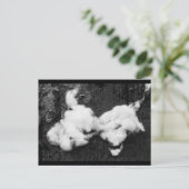 ふわふわの休日はがき シーズンポストカード (スタンド正面)