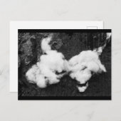 ふわふわの休日はがき シーズンポストカード (正面/裏面)