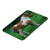 ふわふわの可愛らしいダートモアポニー マグネット (左側)