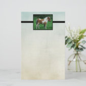 ふわふわの可愛らしいダートモアポニー 便箋 (スタンド正面)