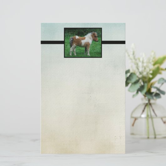 ふわふわの可愛らしいダートモアポニー 便箋 (スタンド正面)