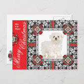 ふわふわの小犬が白いクリスマスを願う シーズンポストカード (正面/裏面)