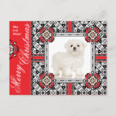 ふわふわの小犬が白いクリスマスを願う シーズンポストカード (正面)