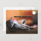 ふわふわの猫ことわざ転居先 案内ポストカード (正面/裏面)