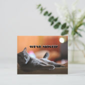 ふわふわの猫ことわざ転居先 案内ポストカード (スタンド正面)