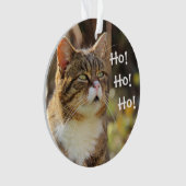 ふわふわの猫クリスマスキュート オーナメント (正面)