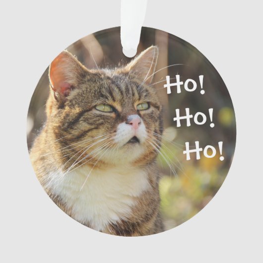 ふわふわの猫クリスマスキュート オーナメント (正面)