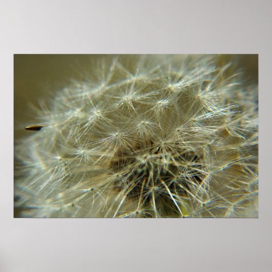 ふわふわの球体 – ポスター (正面)