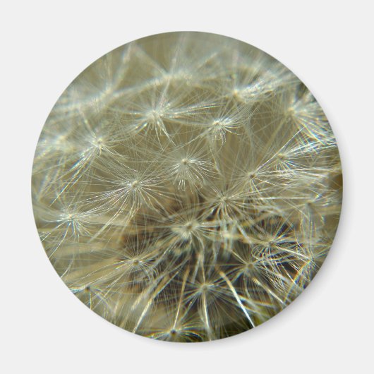 ふわふわの球体 – マグネット (正面)