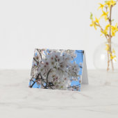 ふわふわの白いさくらんぼ花グリーティングカード カード (黄色い花)