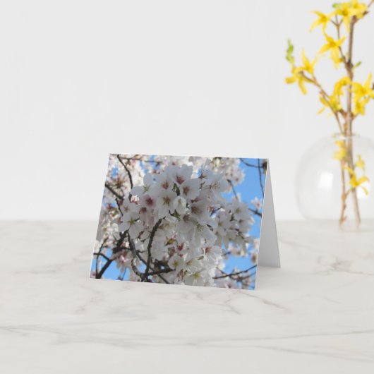 ふわふわの白いさくらんぼ花グリーティングカード カード (黄色い花)