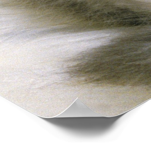 ふわふわの白いカーペットの上で眠る子猫 ポスター (角)