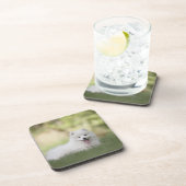 ふわふわの白いケシャンドパピー コースター (右側)