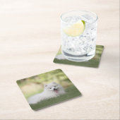 ふわふわの白いケシャンドパピー スクエアペーパーコースター (インサイチュ)