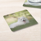 ふわふわの白いケシャンドパピー スクエアペーパーコースター (アングル)