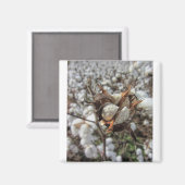 ふわふわの白いコットンボール マグネット (正面/裏面)