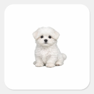 ふわふわの白いマルチーズの仔犬の肖像画 かわいい犬好き スクエアシール