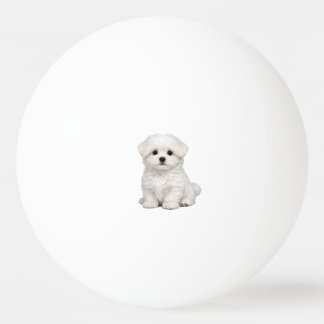 ふわふわの白いマルチーズの仔犬の肖像画 かわいい犬好き 卓球ボール
