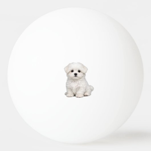ふわふわの白いマルチーズの仔犬の肖像画 かわいい犬好き 卓球ボール (正面)
