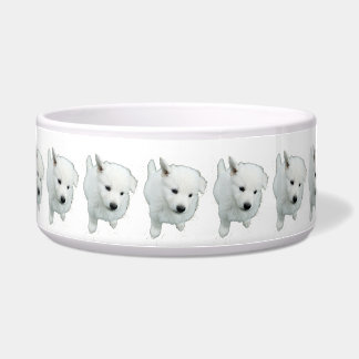 ふわふわの白い子犬の写真 ボウル