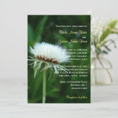 ふわふわの白い植物の先頭結婚夏 招待状 (スタンド正面)