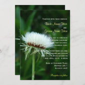 ふわふわの白い植物の頭 夏の結婚式 招待状 (正面/裏面)