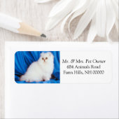 ふわふわの白い猫の差出人住所ラベルシール ラベル (インサイチュ)