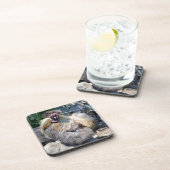 ふわふわの醜いチキン、コースター コースター (右側)