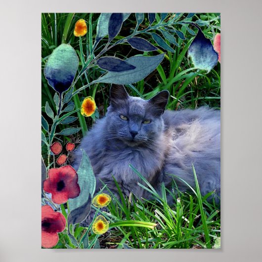 ふわふわの長毛種ロシアンブルーの猫ポスター ポスター (正面)