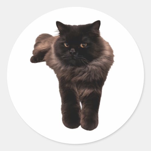 ふわふわの長毛 黒猫 ステッカー - 私の猫。HAKU (正面)
