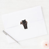 ふわふわの長毛 黒猫 ステッカー - 私の猫。HAKU (封筒)
