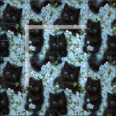 ふわふわの黒い子猫と花シームレスパターン ファブリック (タイル)