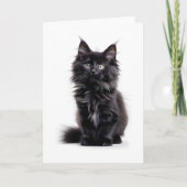 ふわふわの黒い長毛の猫のブランクグリーティングカード カード (正面)