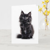 ふわふわの黒い長毛猫のブランクグリーティングカード カード (黄色い花)