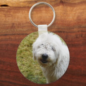 ふわふわふわの悪い髪の日犬 キーホルダー (正面)