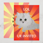 ふわふわキッテン招待状 招待状 (正面/裏面)