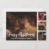 ふわふわクリスマス ペット フォト コラージュ シーズンカード (正面)