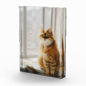 ふわふわジンジャーキャットを窓に フォトブロック (右)