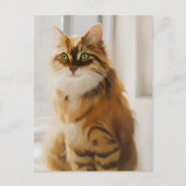 ふわふわジンジャーキャットを窓に ポストカード (正面)