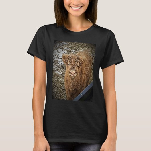 ふわふわハイランドカウ Tシャツ (正面)