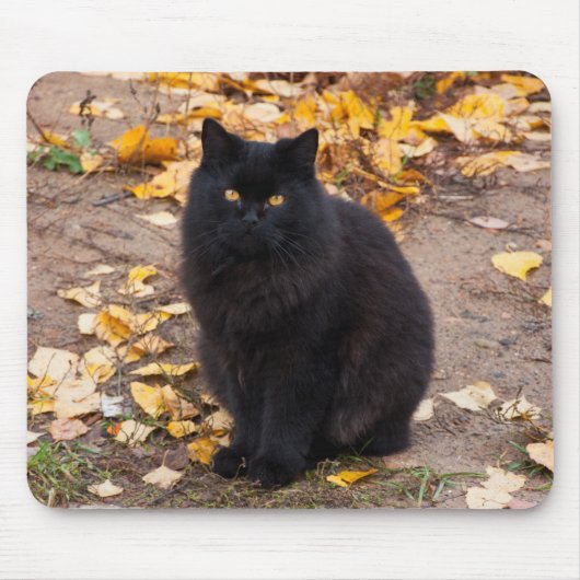 ふわふわブラック子猫と紅葉 マウスパッド (正面)