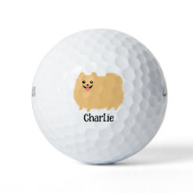 ふわふわポメラニア犬かわいい犬と名前をカスタムする