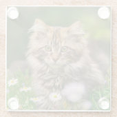 ふわふわメインの子ネコかわいい花の写真 ガラスコースター (裏面)